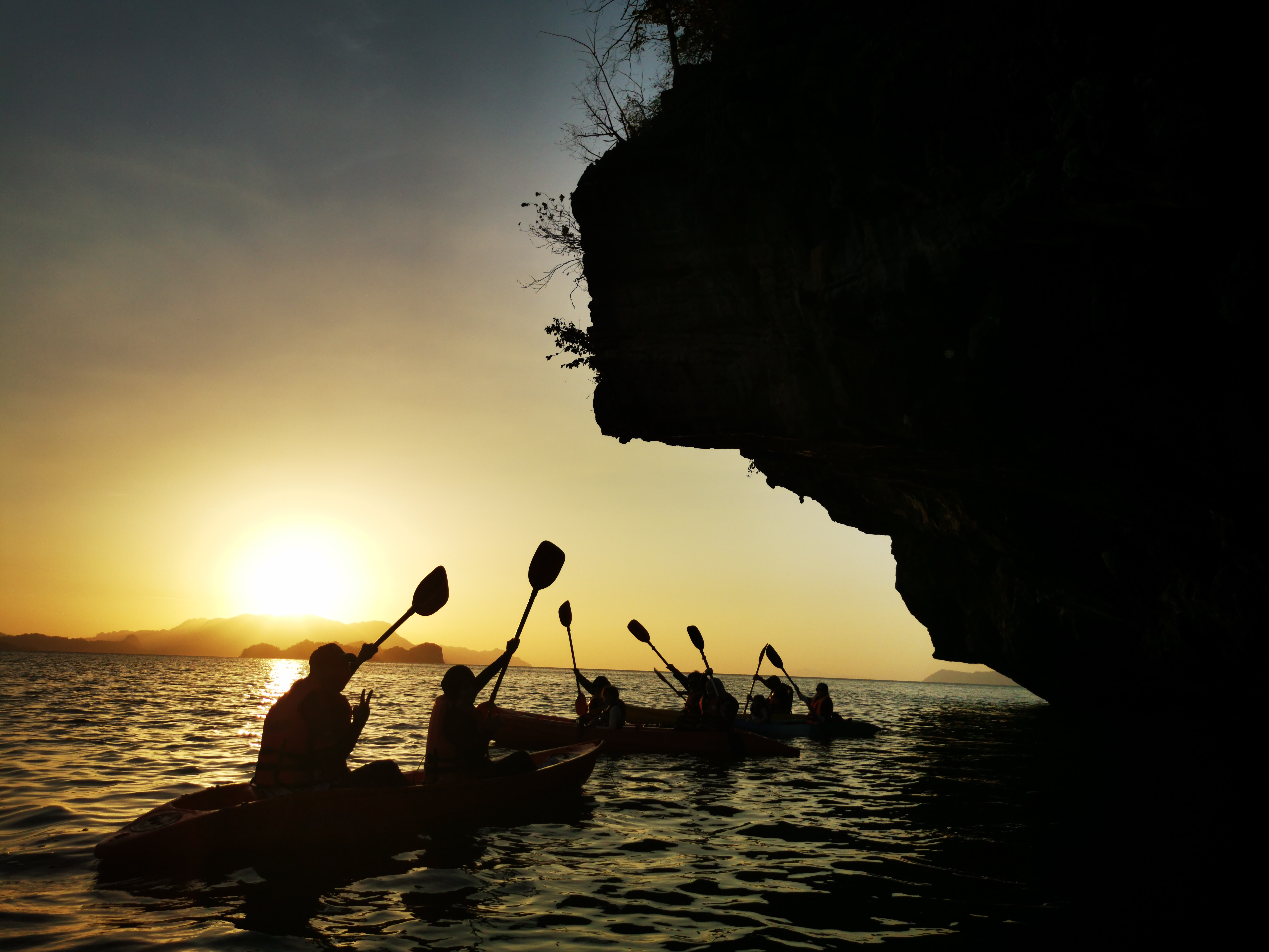 Mangrove Tour